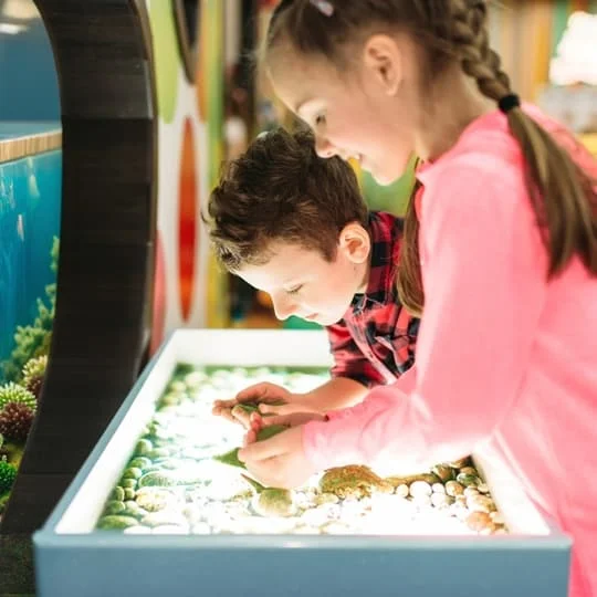 Mobile tide pools and group tour for all grades 