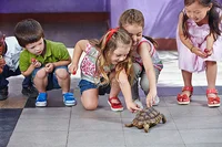 Reptile Show Group Tour July 2