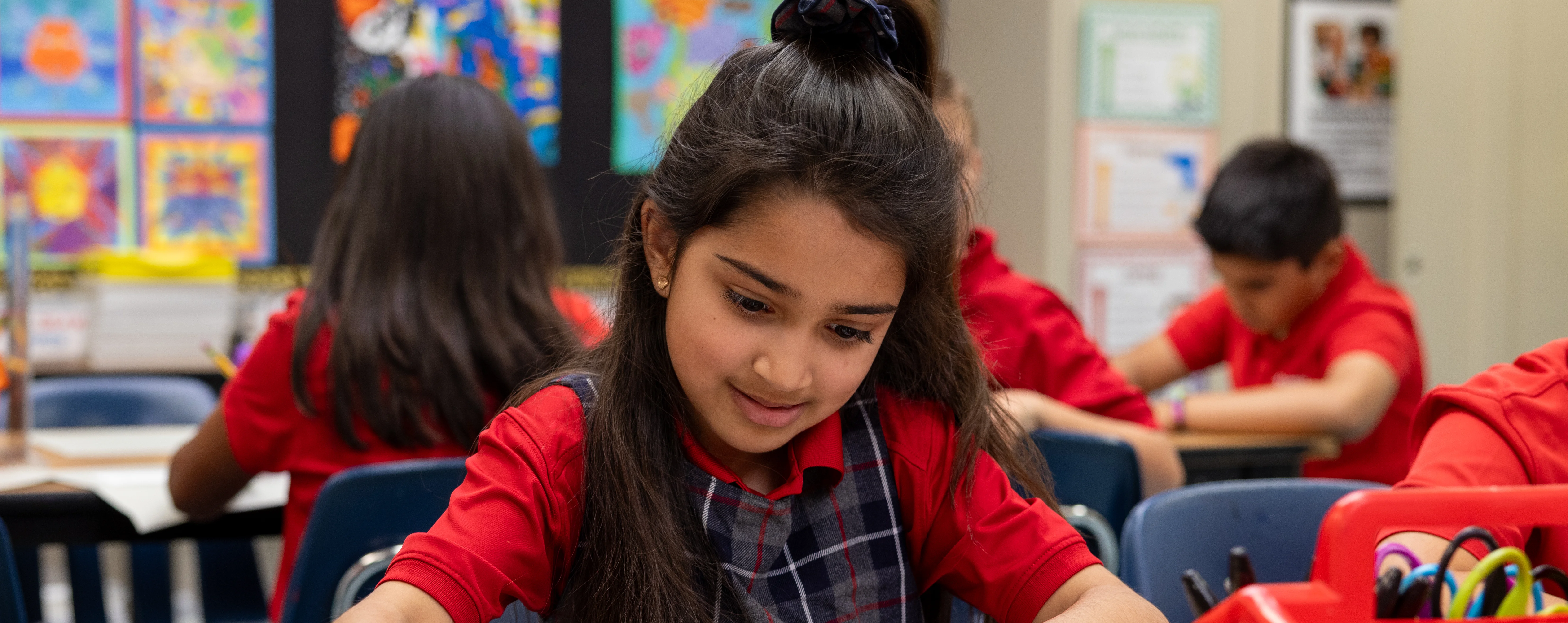 Wellness and learning support