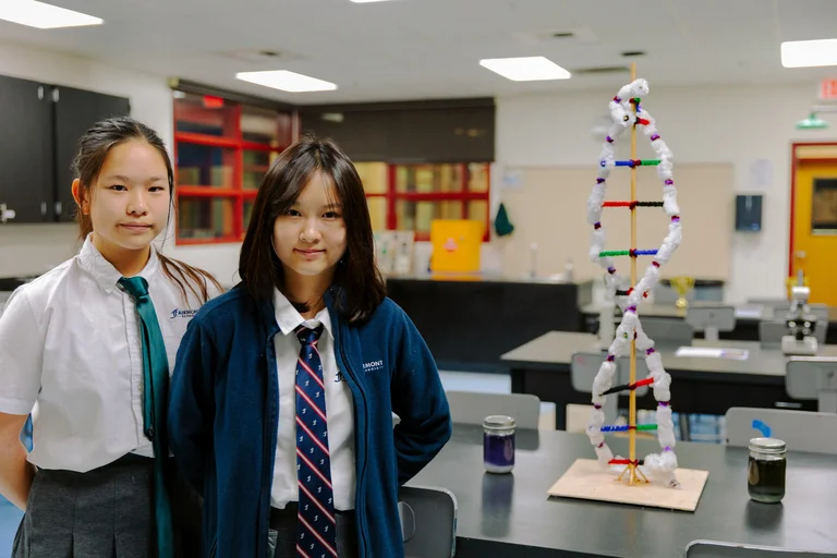 STEAM and digital learning