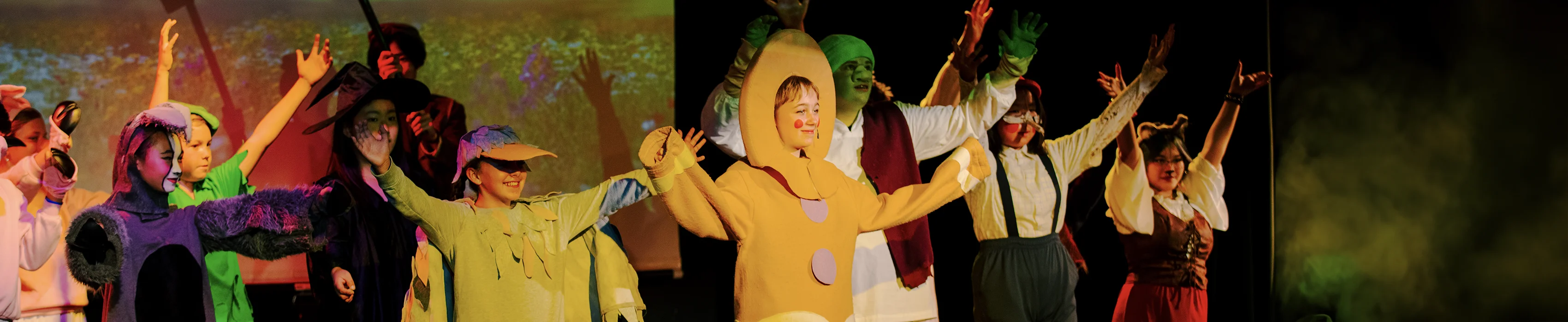 Performing & visual arts program