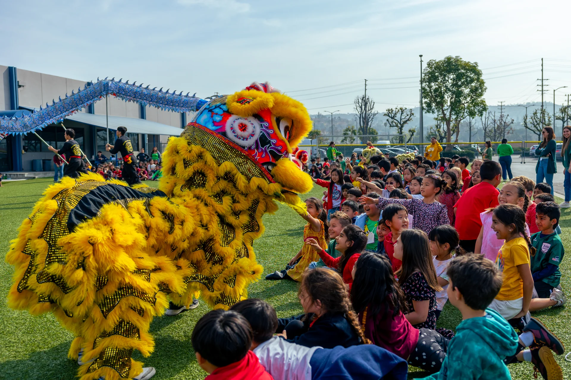 Diversity & cultural celebration