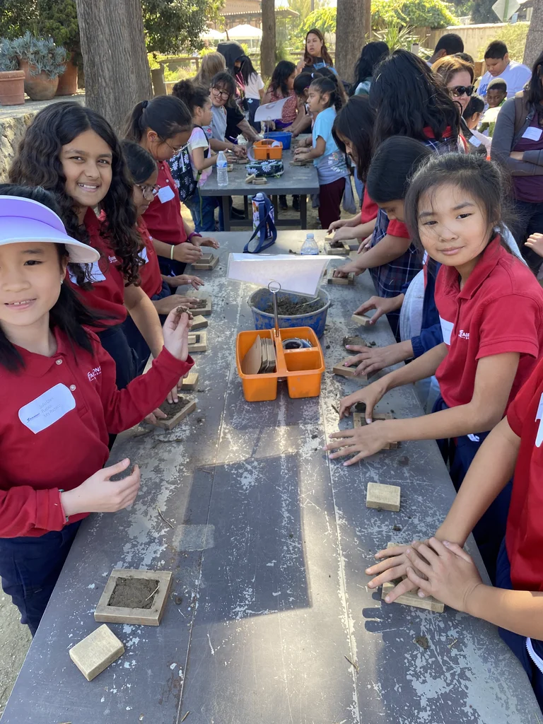 Emerald Cove Outdoor