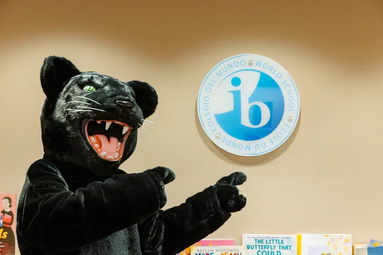 IB World School
