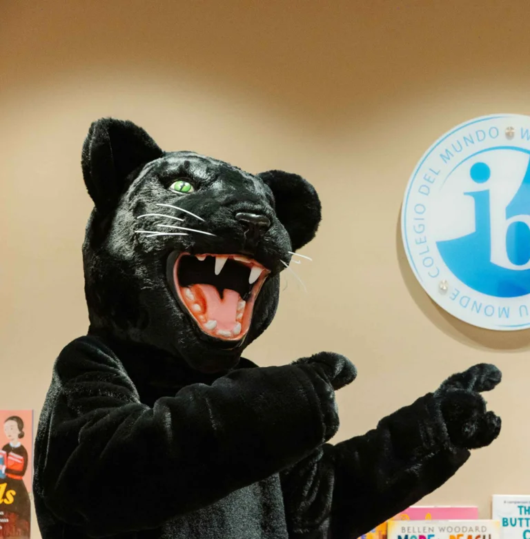 IB World School