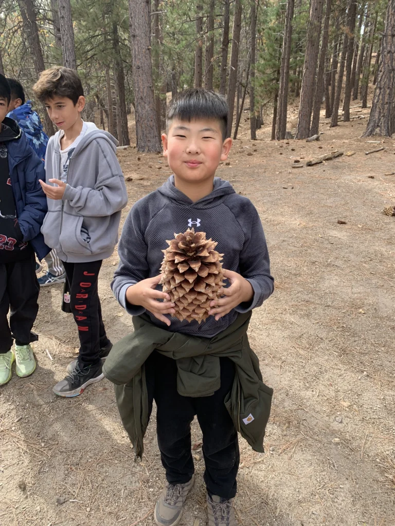 San Bernardino Mountains