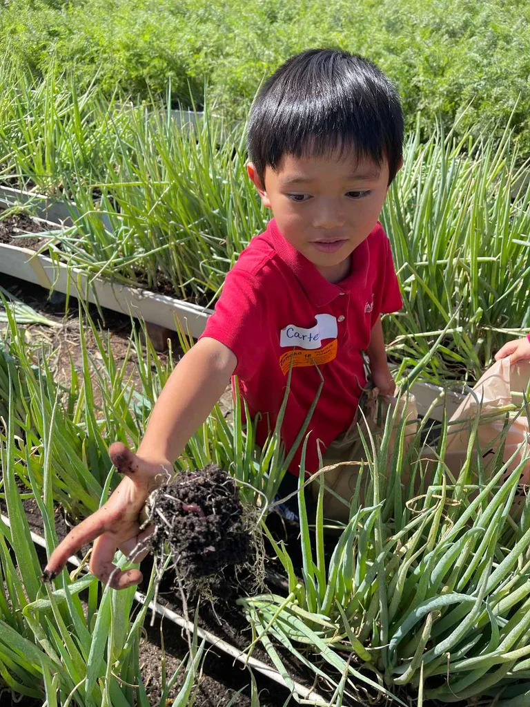 Farm Exploration