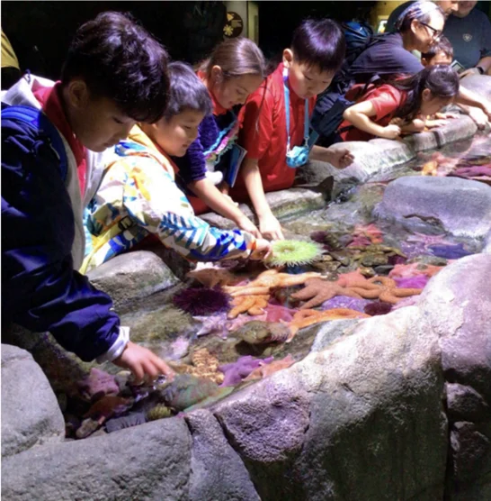 Aquarium of the Pacific