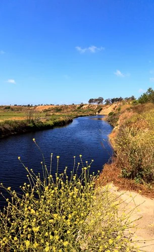 Upper Newport Bay