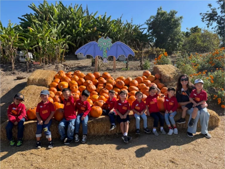 Tanaka Farms Pumpkin Patch