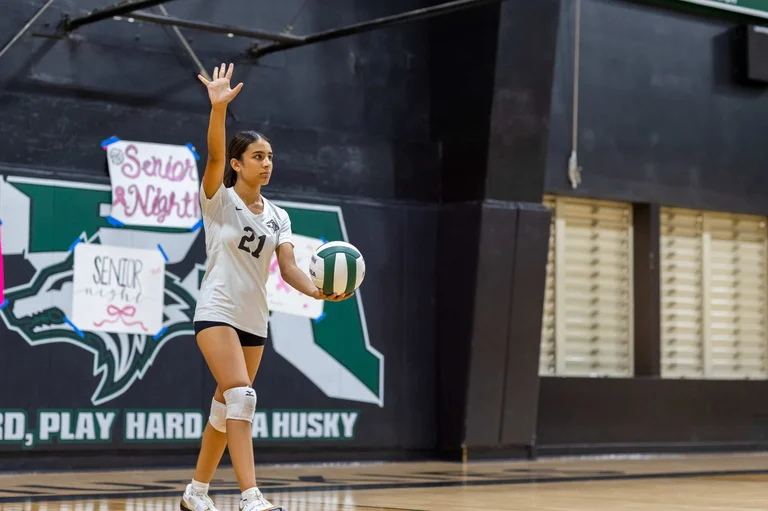 Volleyball