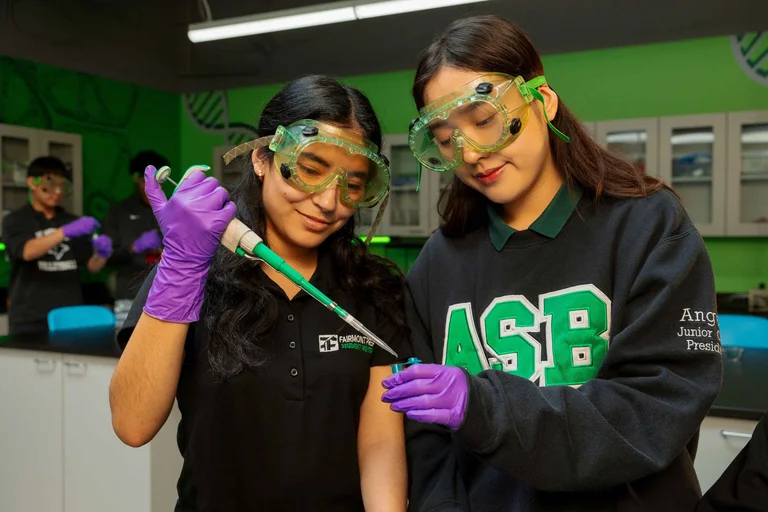 ASEP and STEM Pathways