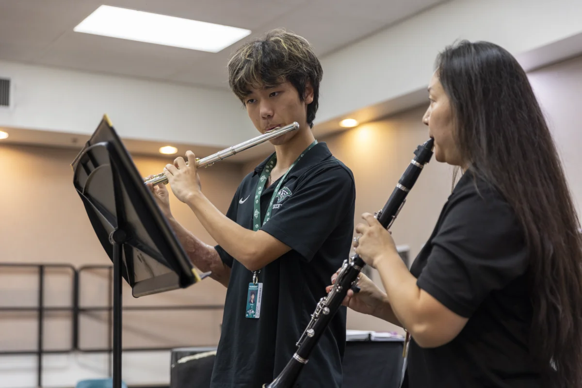 Visual & Performing Arts Program (VAPA)